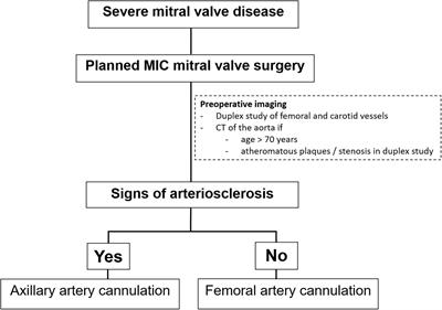 Antegrade axillary arterial perfusion in 3D endoscopic minimally-invasive mitral valve surgery